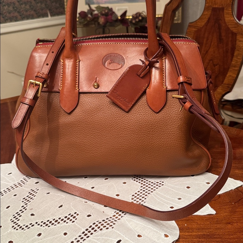 Dooney & Bourke Brown and Red Leather Handbag